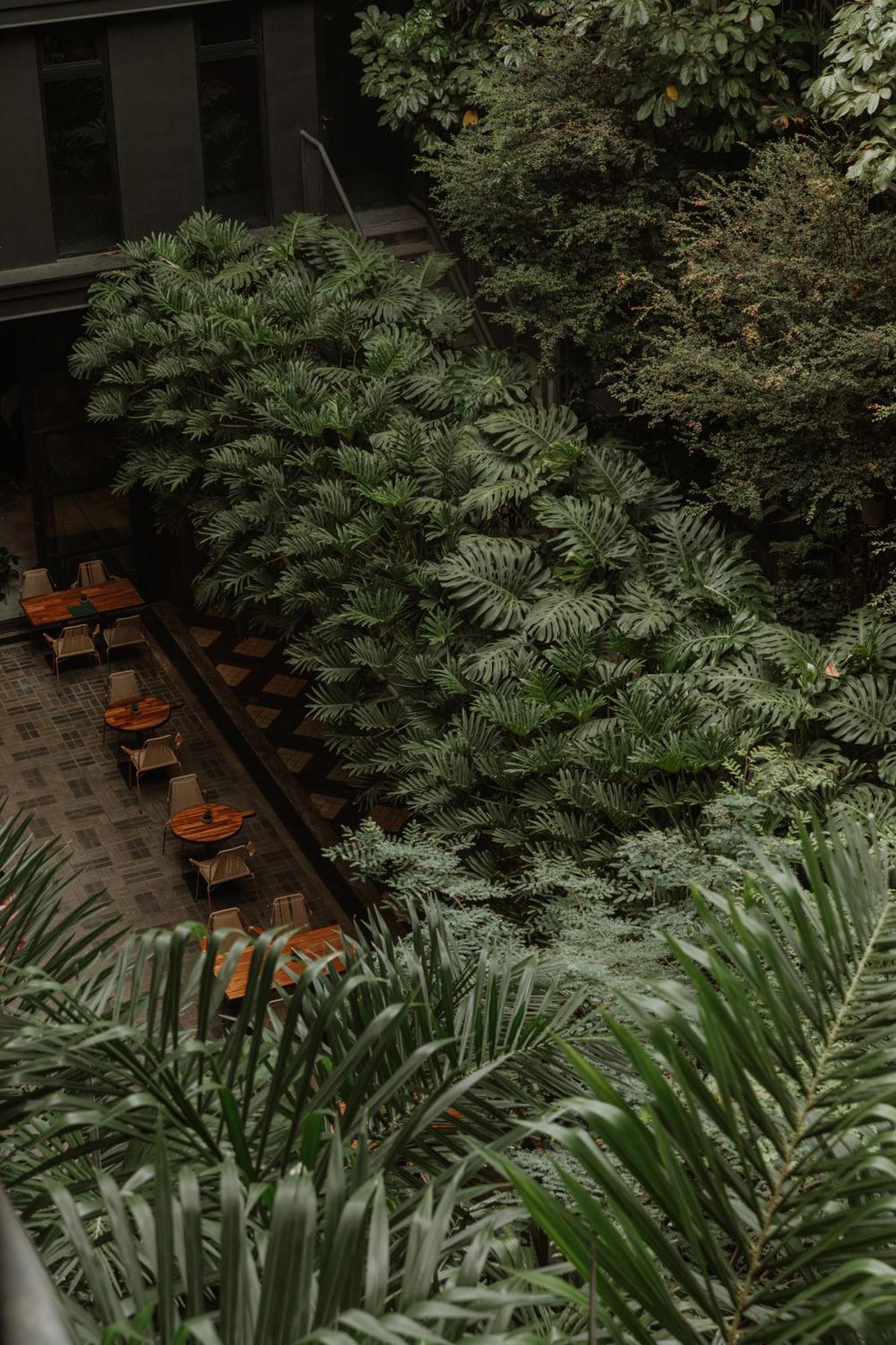 The Click Clack Hotel Medellin Bagian luar foto Alpinum